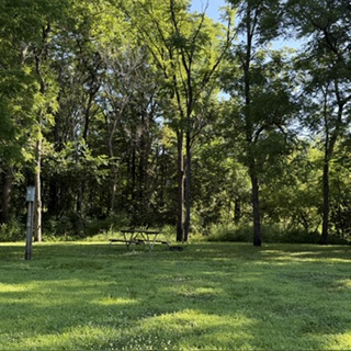 Heery Woods Site 16 - Non-Reservable
