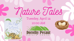 Nature Tales: Eggs & Nests