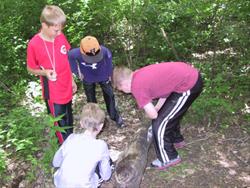 Nature Neighbors - Down in the Dirt (Youth completing 1st or 2nd grade)