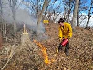 Job Opening- Natural Resources Assistant (Seasonal)