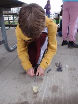 Survival Camp (session 1)