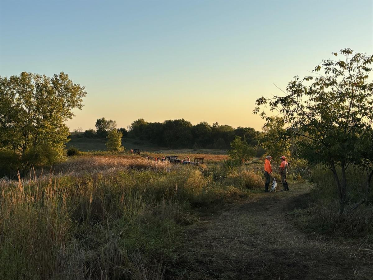 Field Trial Event at Wilcox