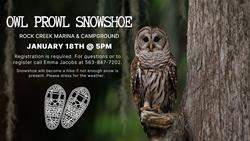 Owl Prowl Snowshoe