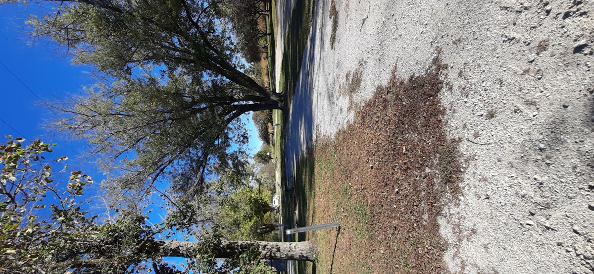 Electric Site 023 - Don Williams