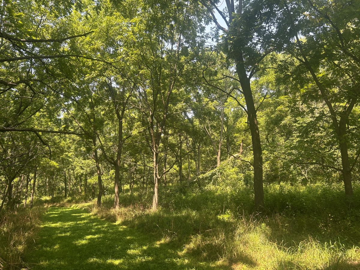 Shearer Wildlife Area