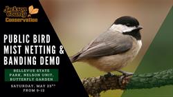 Public Bird Mist Netting & Banding Demo