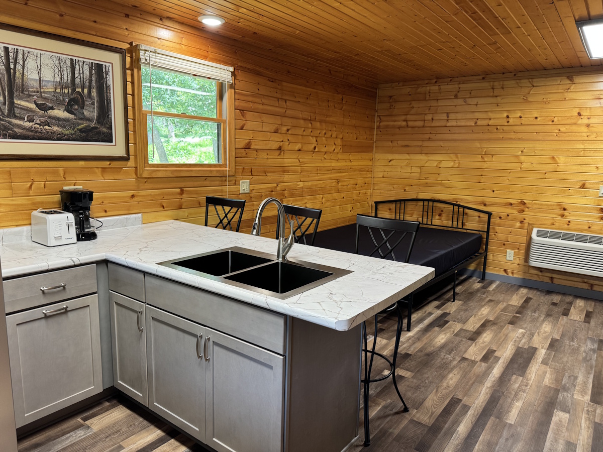 North East Corner: Shows kitchen sink, bar seating and queen bed in background.