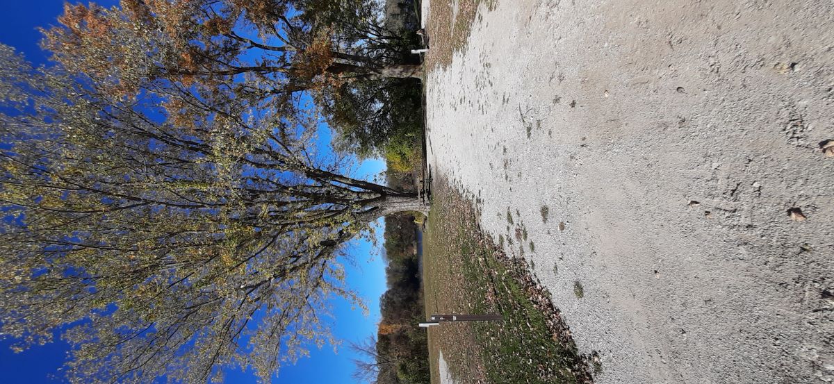 Electric Site 005 - Don Williams