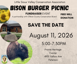 Bison Burger Picnic and Lawn Concert