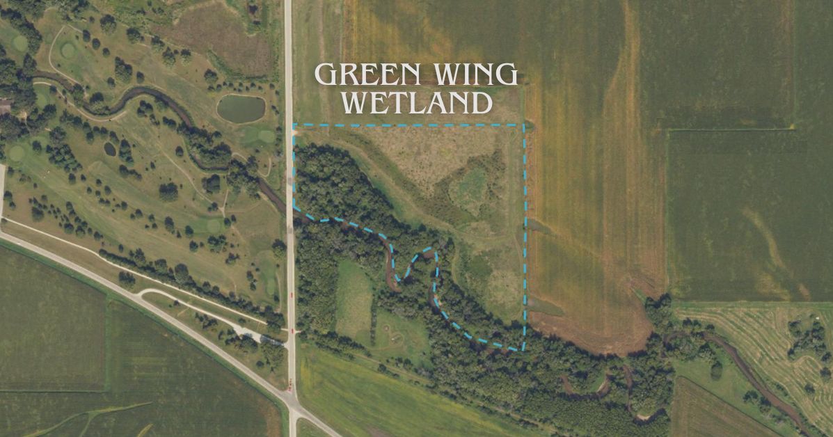 Green Wing Wetland