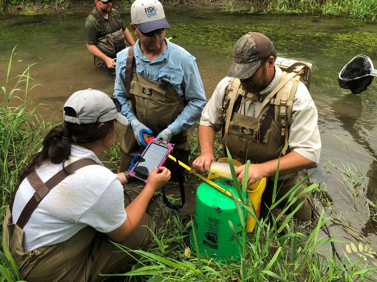 DNR Fish Survey done at Sindelar Wildlife Access