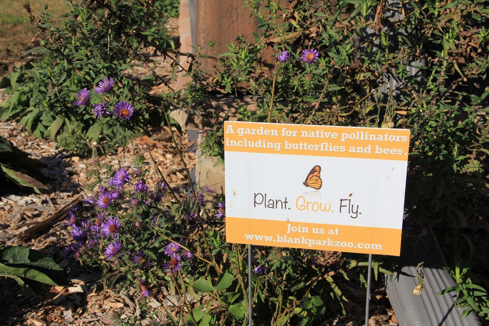 Plant Grow Fly Sign 