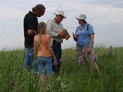 Evening Prairie Walk