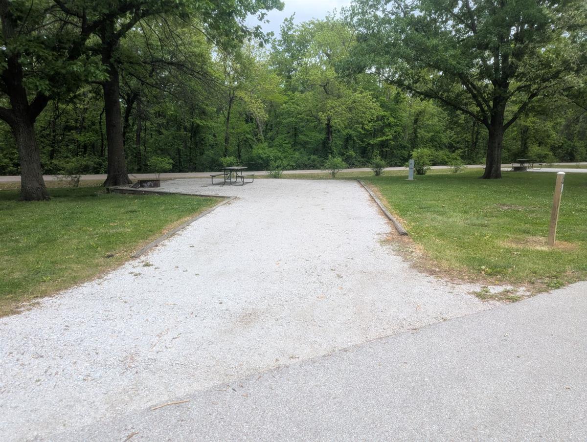 Yellow Banks Site 21