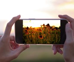 Golden Hour Prairie Walk & Photography Night