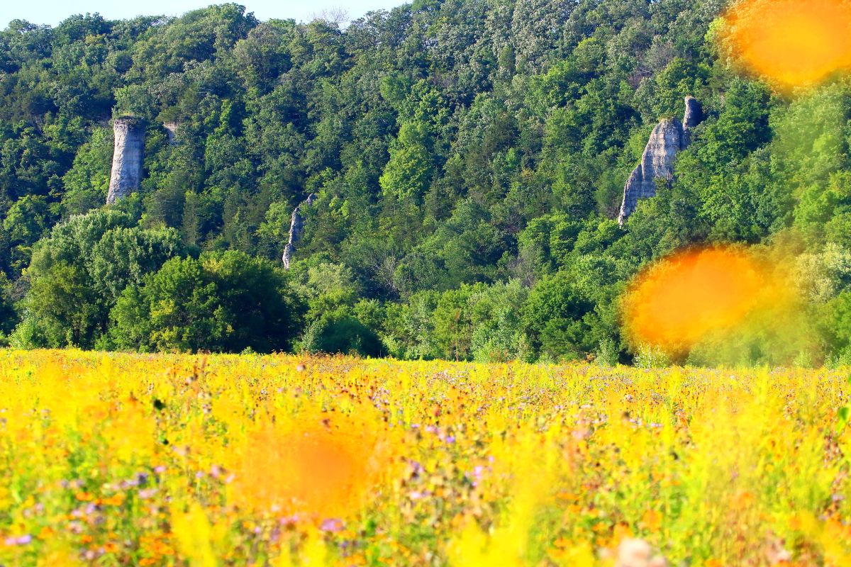 Summertime view at Chimney Rock Park