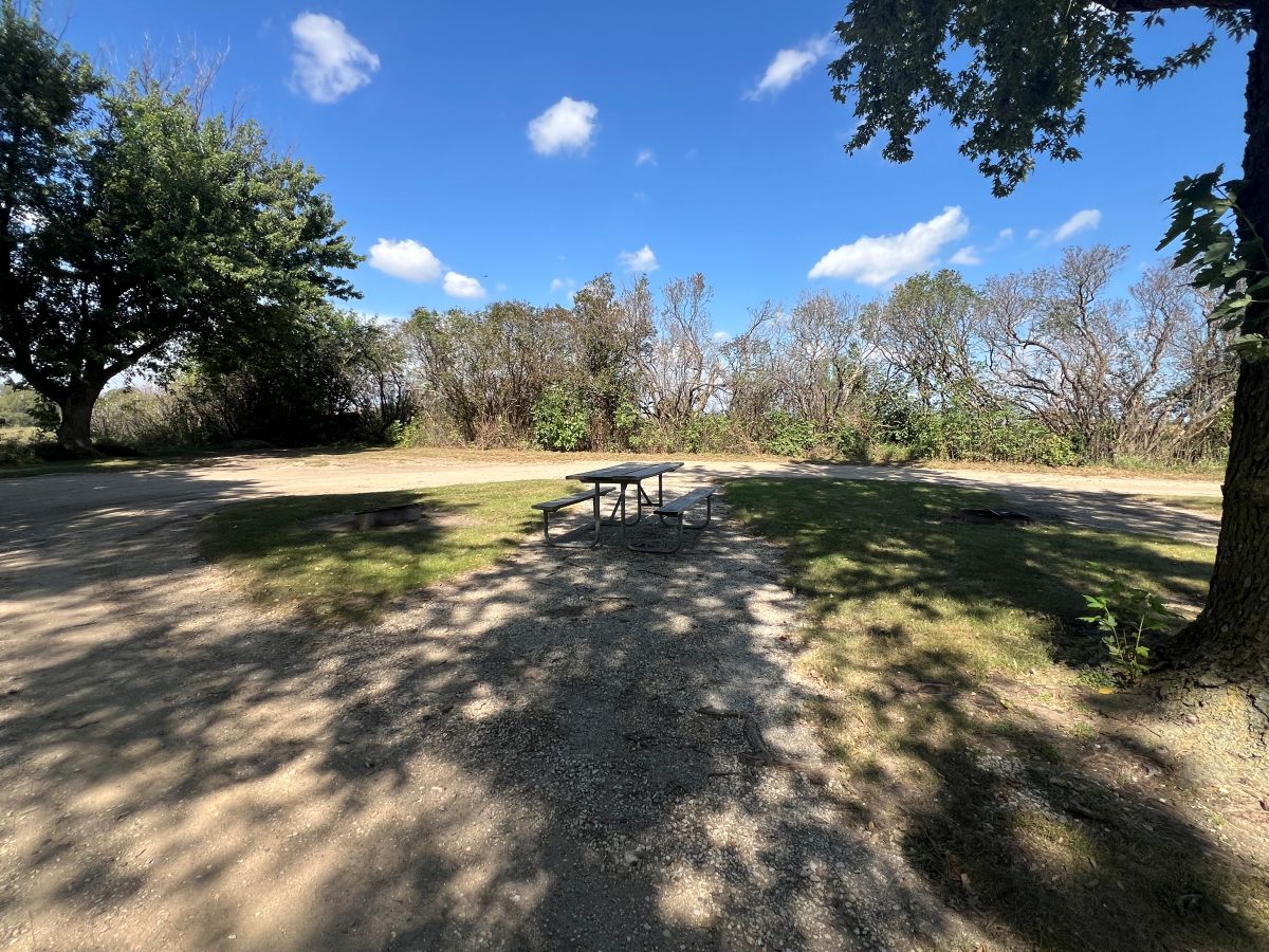 Dog Creek Campsite #06