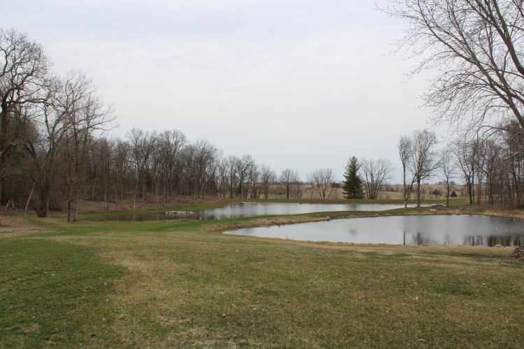 2 Ponds at Zillman's 