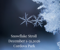 Snowflake Stroll