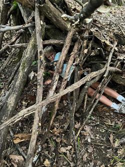 Summer Skills - Survival