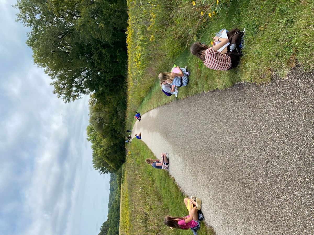 Students journal along Trout Run Trail