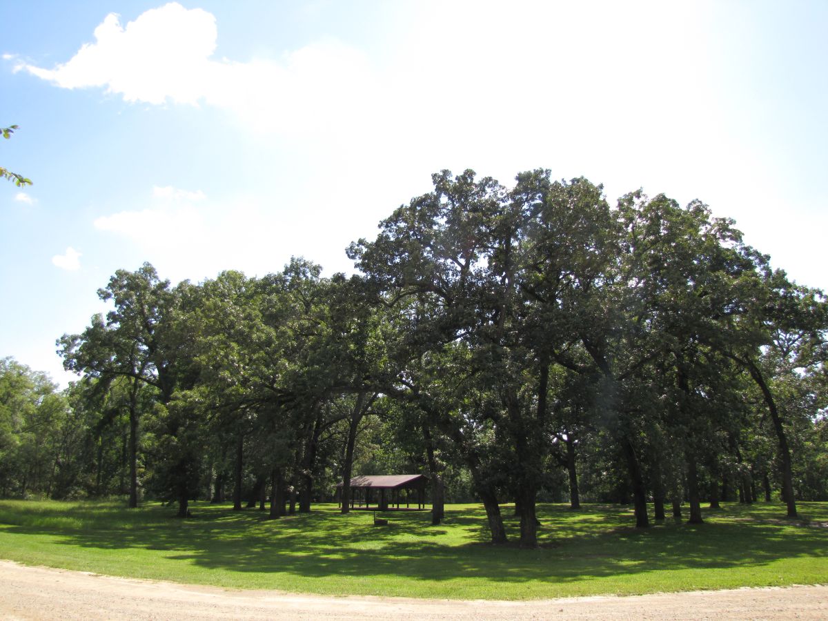 CP Shelter Oaks
