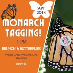 Brunch & Butterflies: Monarch Tagging