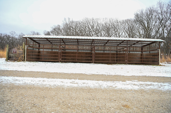 Loafing Shed 2- Stall #3