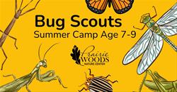 Bug Scouts June 25 & 26 2026