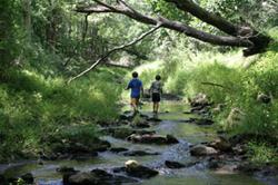Discover Your Parks - Stream Walk