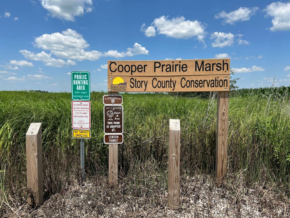 Cooper's Prairie Marsh