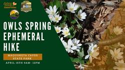 O. W. L. S. Spring Ephemerals/Cave Tour @ Maquoketa Caves