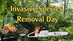 Invasive Species Removal Day