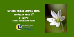 Spring Wildflower Hike