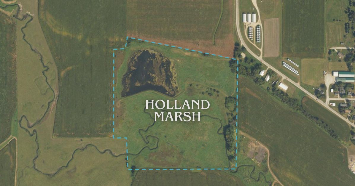 Holland Marsh
