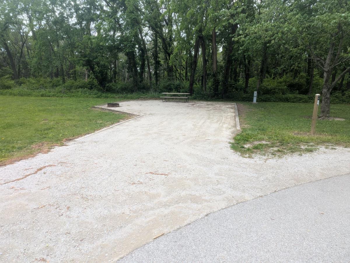 Yellow Banks Site 12