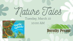 Nature Tales: Turtles