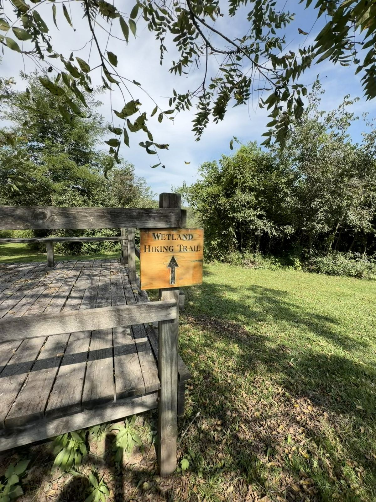 Wetland Trail