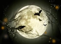 OWLS "Spooks of the Night"