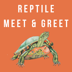 Reptile Meet & Greet