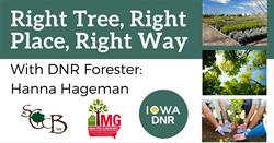 Right Tree, Right Place, Right Way: A Presentation by District Forester, Hanna Hageman
