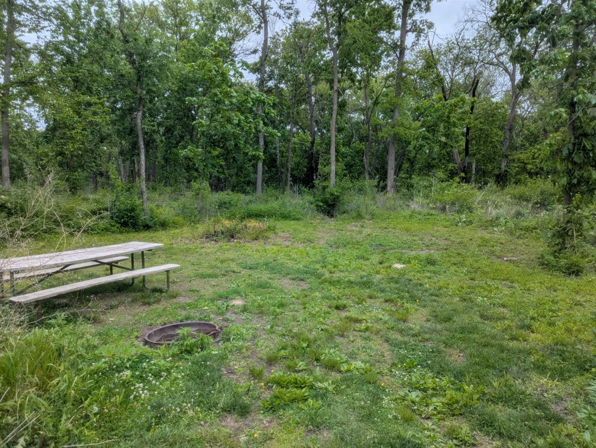 Yellow Banks Site T06