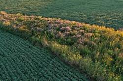 Exploring Regenerative Agriculture