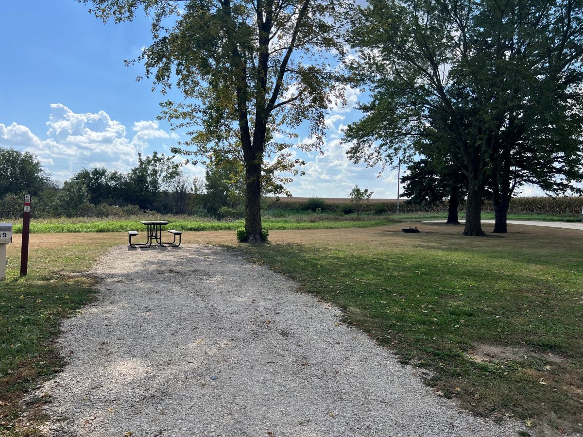 Dog Creek Campsite #19