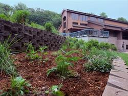 Garden Walk