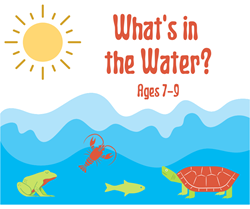 What's in the Water? Camp - Ages 7-9