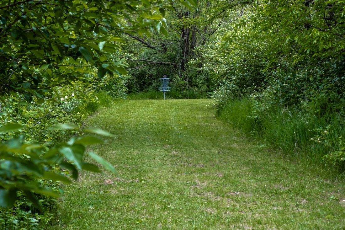 Disc Golf