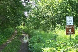 Lane traveling off of Triborn into park boundary