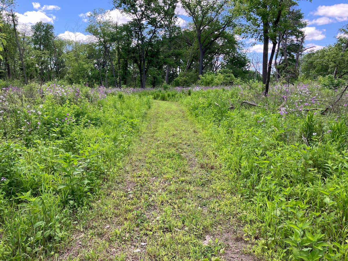 Riverbend Wildlife trail