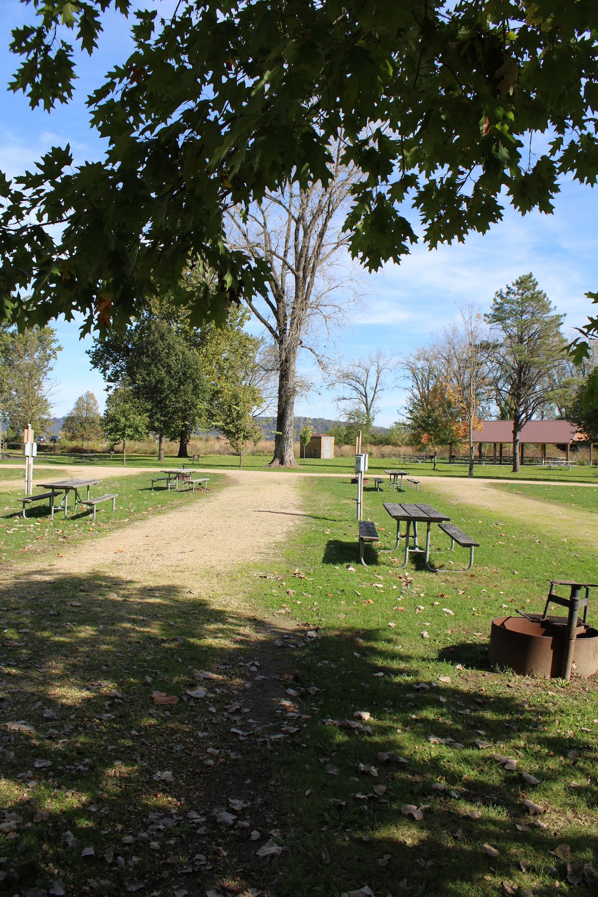 Mud Lake Park: Campsite 31